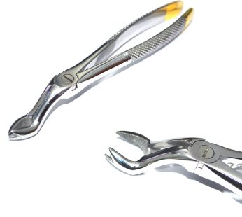 Diamond Dusted Dental Forcep, Upper Wisdoms Right Gripping in Teeth